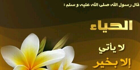 uae_dhabi's profile banner image