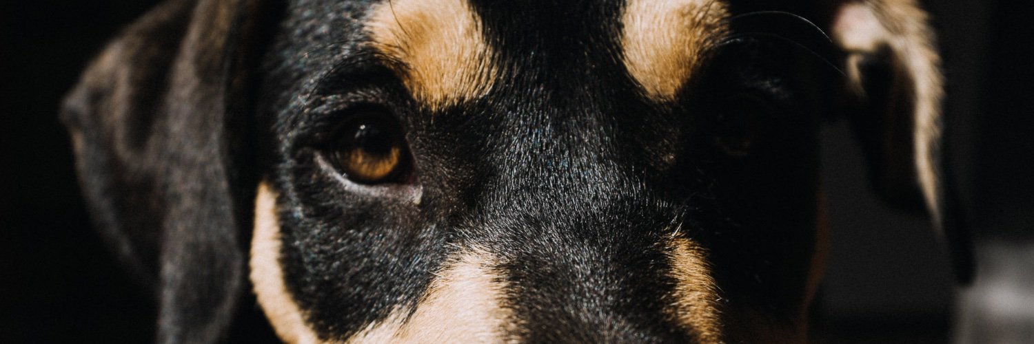 vbahns's profile banner image