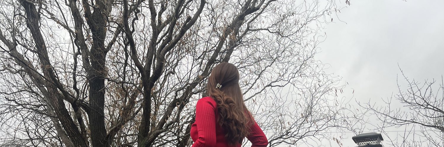 ashsanc_'s profile banner image