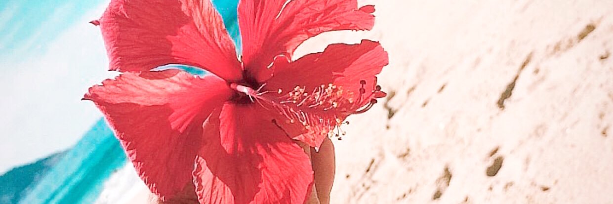 cjxcarr_'s profile banner image