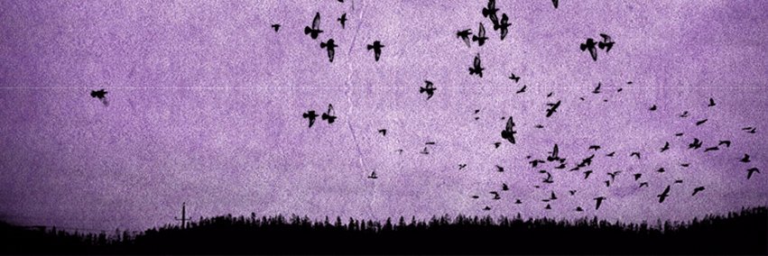 SkywardBand's profile banner image