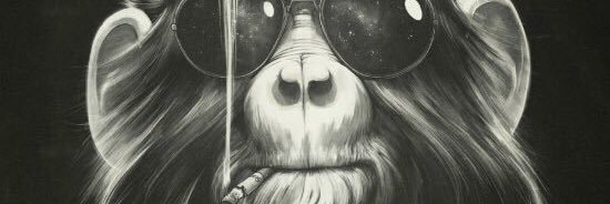 mo7eb93's profile banner image