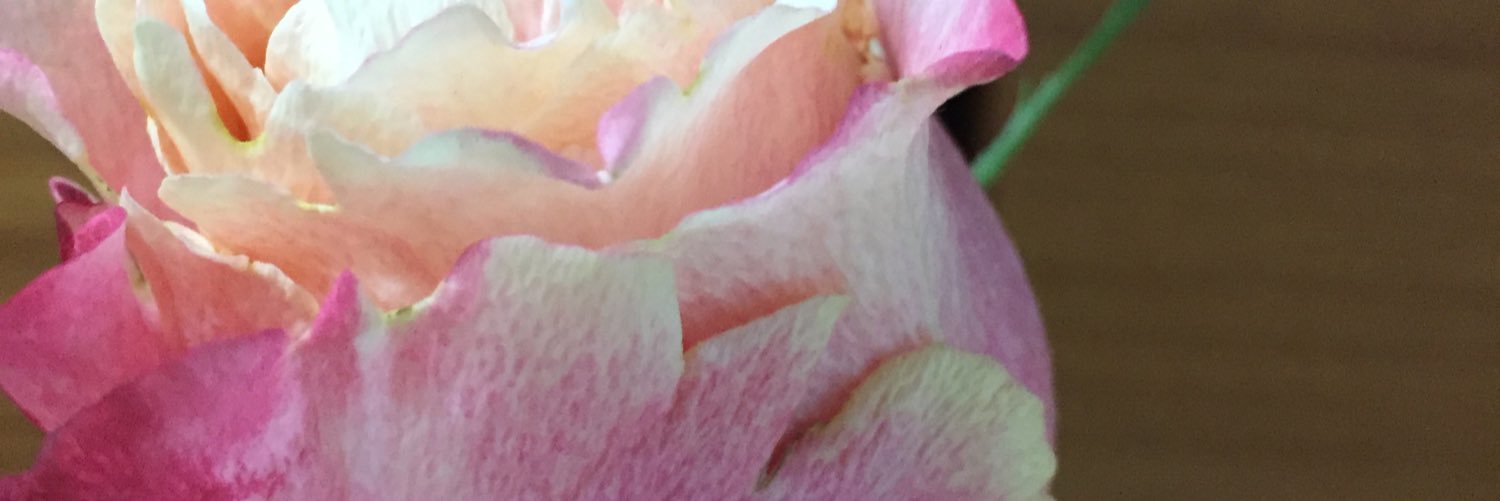 kellyrqa's profile banner image