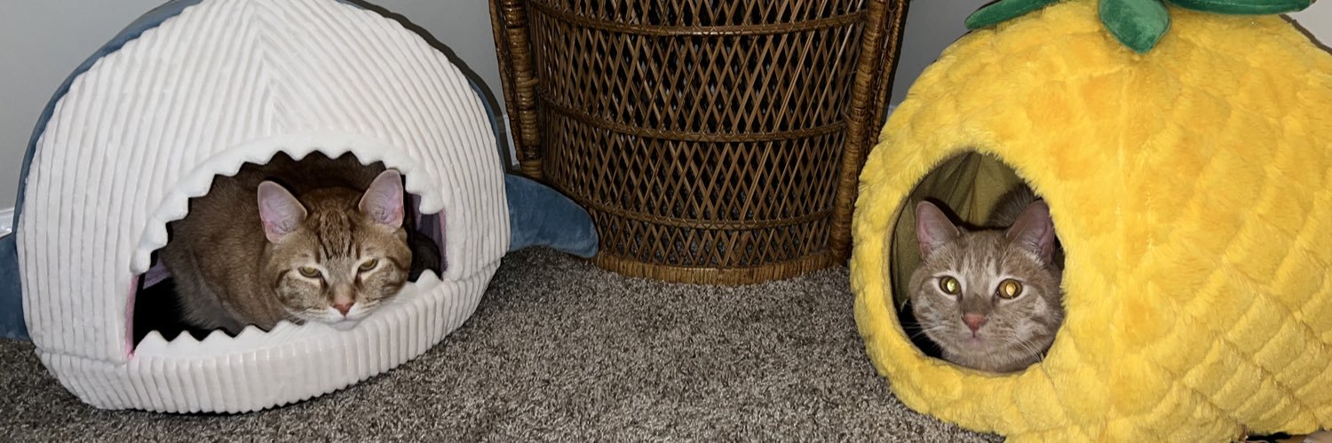 hannahhowell17's profile banner image