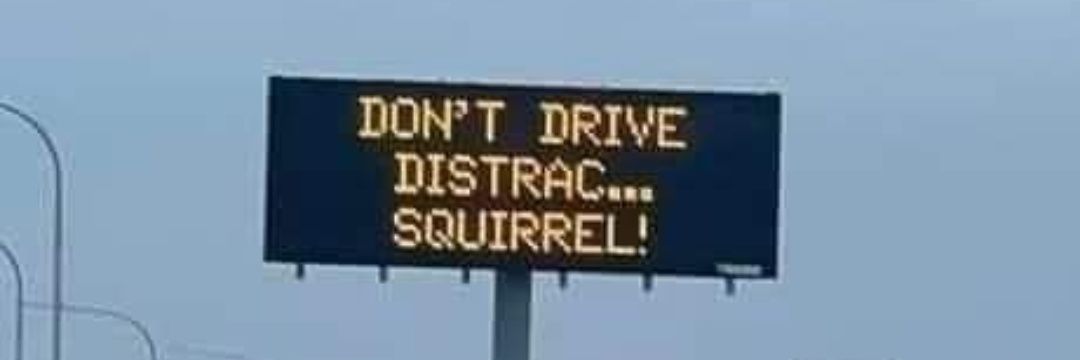 thetruepapapanda banner