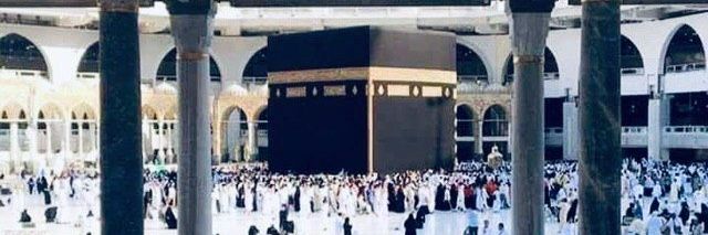 أ.د. عبدالسميع محمد الأنيس banner
