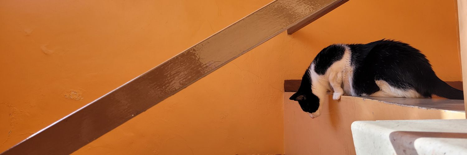 AreliRo's profile banner image