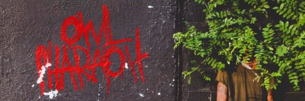 pj__snyder's profile banner image