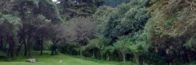 VegaFabrizio's profile banner image