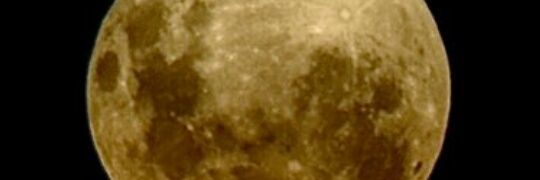 crisrock 🎸 banner