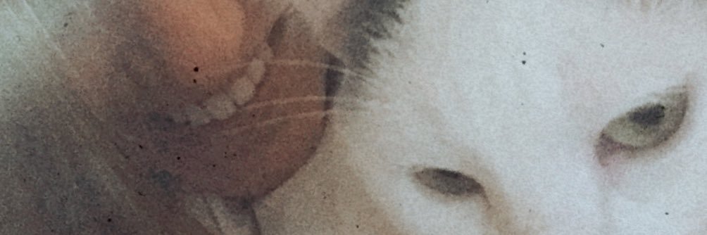 andreillagarcia's profile banner image