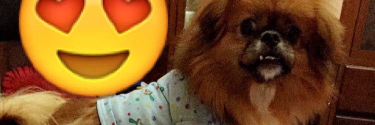 MaryPinz's profile banner image