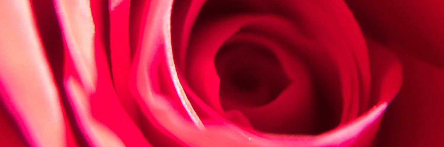 Sherrie Howell banner