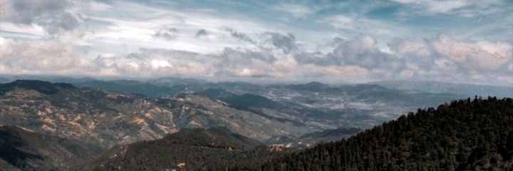 andryyal's profile banner image