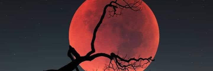 yakasaimay's profile banner image