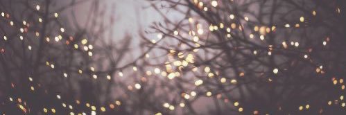 _iamsilv's profile banner image