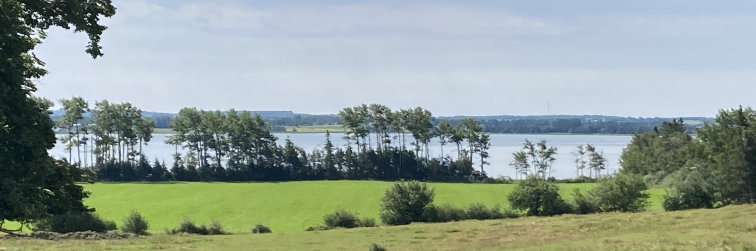 Sondra 🌱🌍 Ⓥ banner