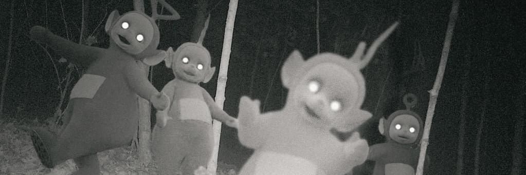 nzfurst's profile banner image