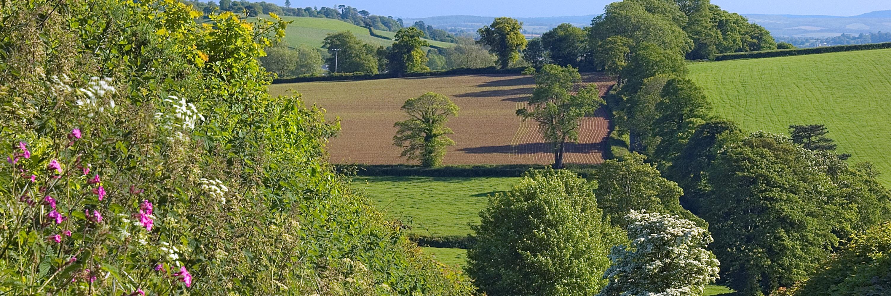 Lisa 🦅💙 banner