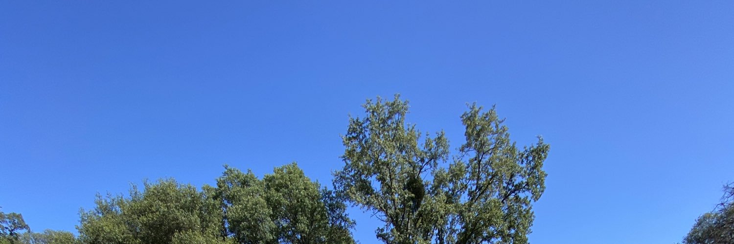 dudewithadrum's profile banner image