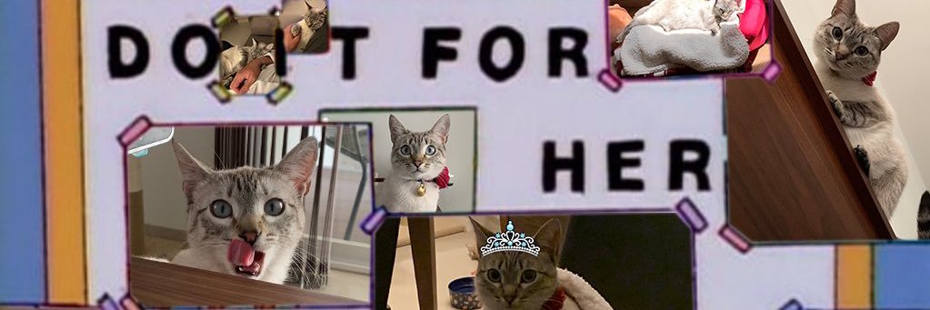 Perrito Modorrito banner