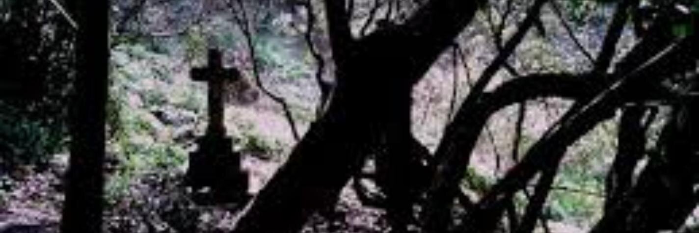 ghostmmnc's profile banner image