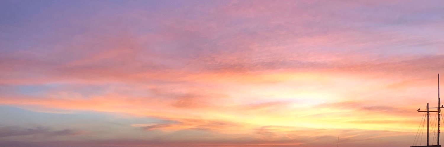 ccami_l's profile banner image