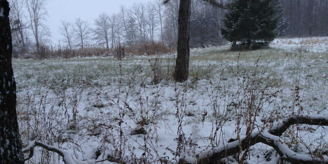 ZG_44's profile banner image