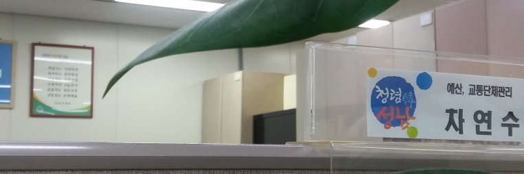 차연수(경제교통과) banner