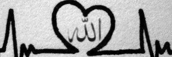 il_wafi's profile banner image