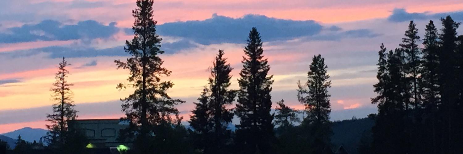 sgorman25's profile banner image