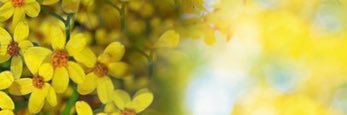 justselam's profile banner image