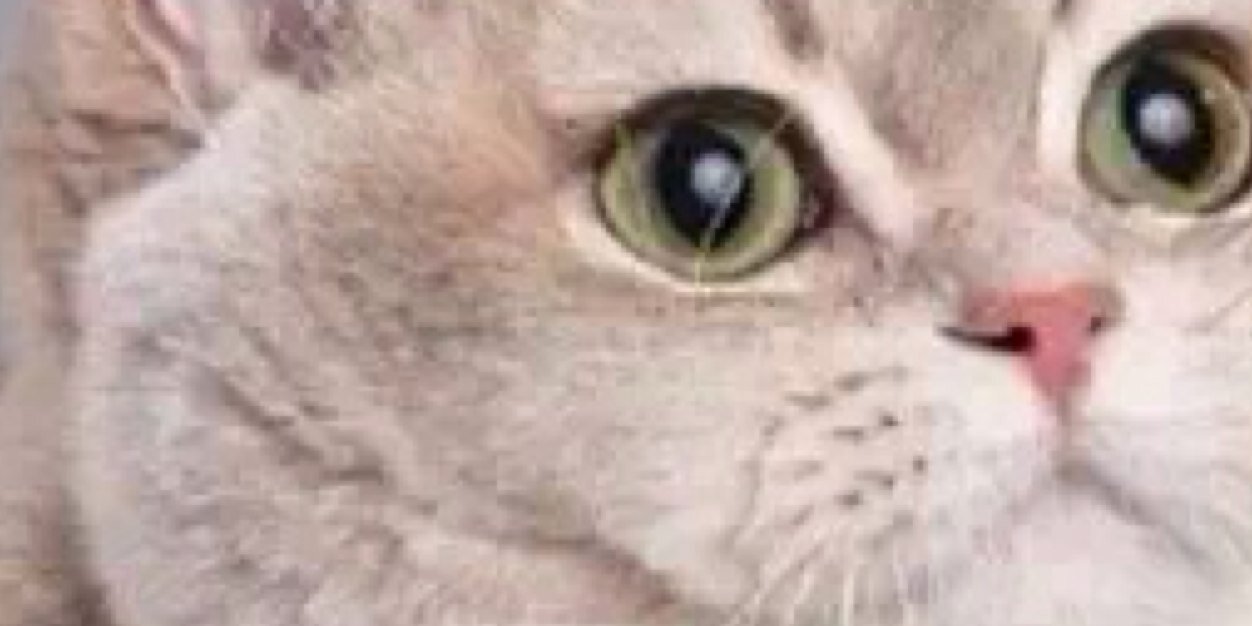 fallonfarrell8's profile banner image