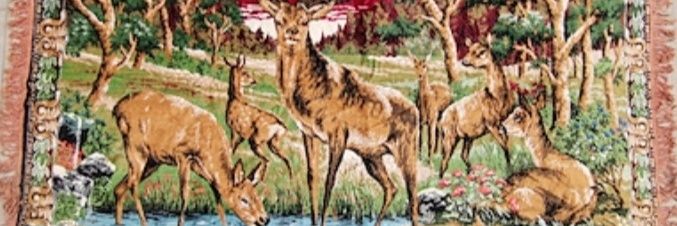 TKanl's profile banner image