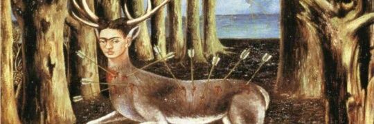 zenncefil's profile banner image