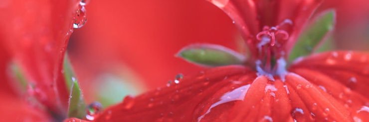 milanabes's profile banner image