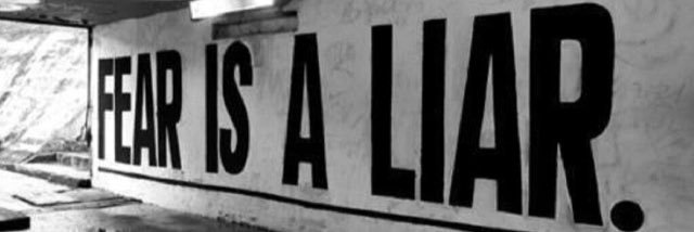 Michael Biehl banner