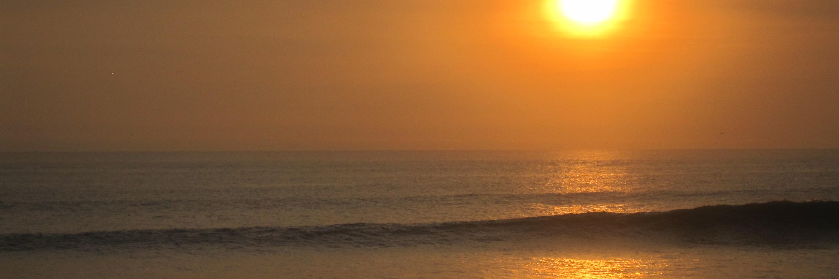 Paulo Güere banner