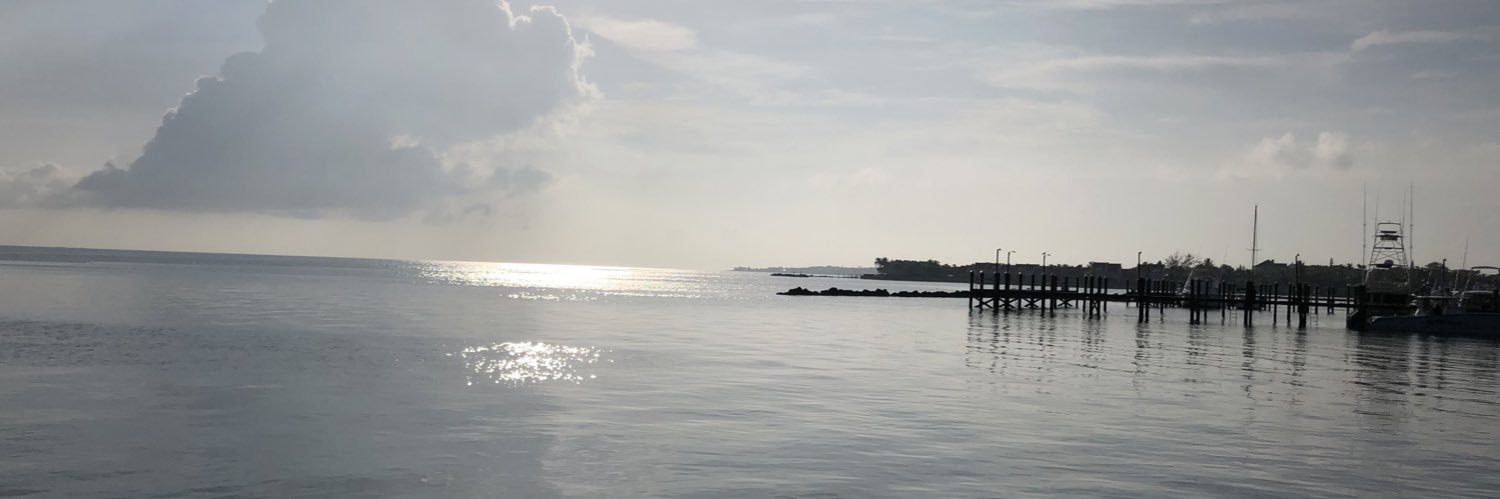 RochelleInglis's profile banner image