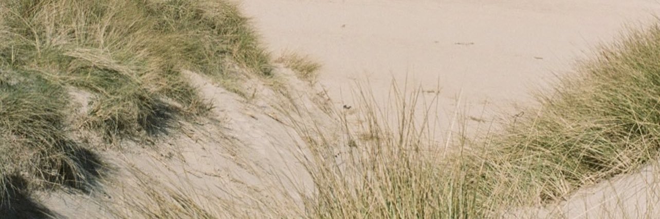 SUNFLOWAYZ's profile banner image
