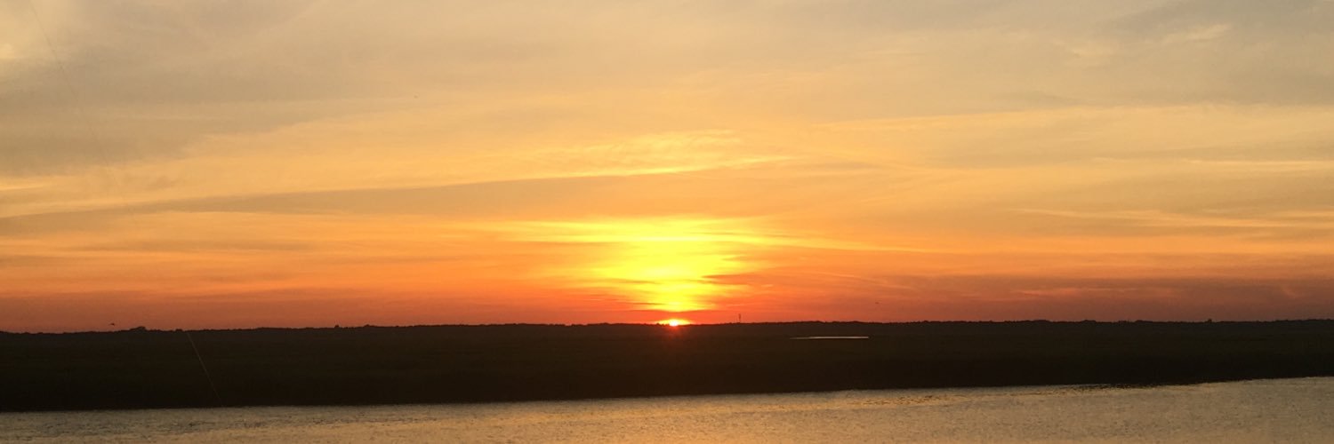 brennansuz's profile banner image