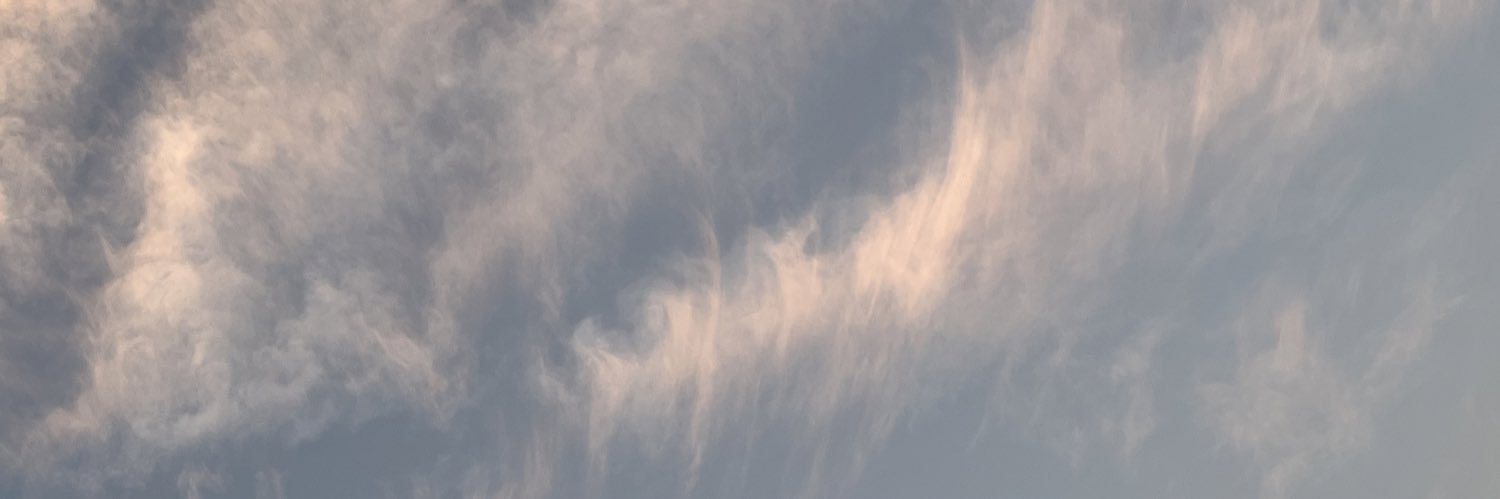 dianirelly's profile banner image