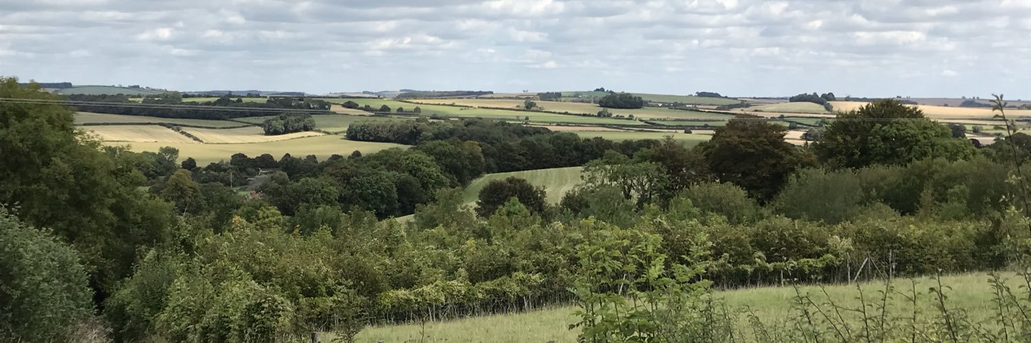 StrattonDorset's profile banner image