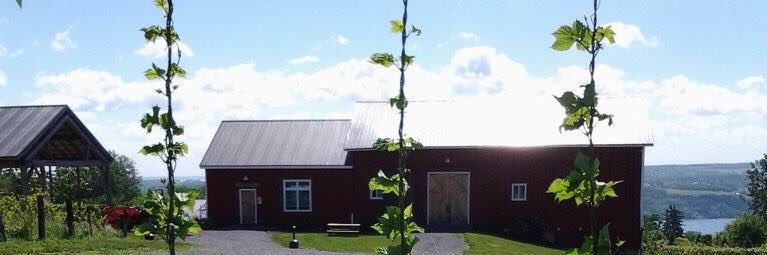 Abandon Brewing Co banner