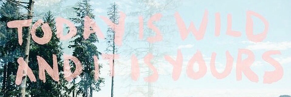 theloveassembly's profile banner image