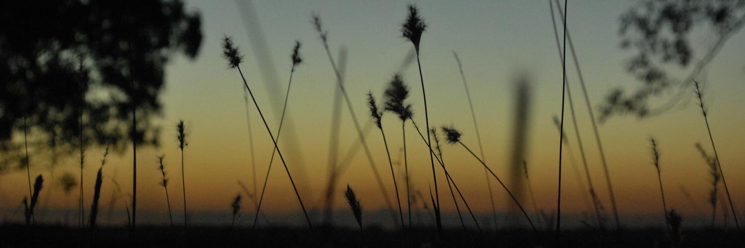 Manuela García Pintos banner