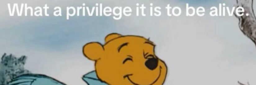 KayyyCammm's profile banner image