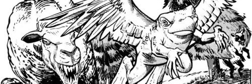pidgeontoad's profile banner image