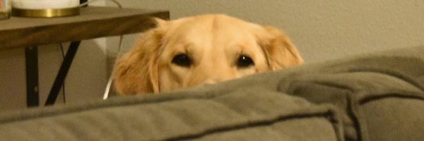 not_tojay Profile Banner