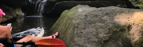 tiffftaylor's profile banner image
